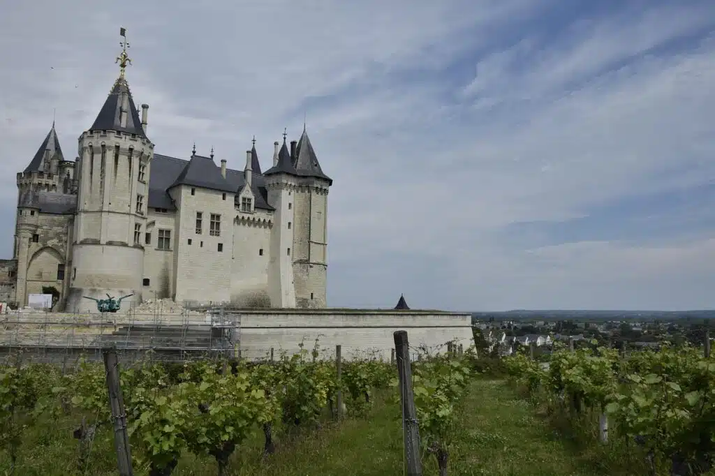 Photo du château de Saumur avec des vignes au premier plan.